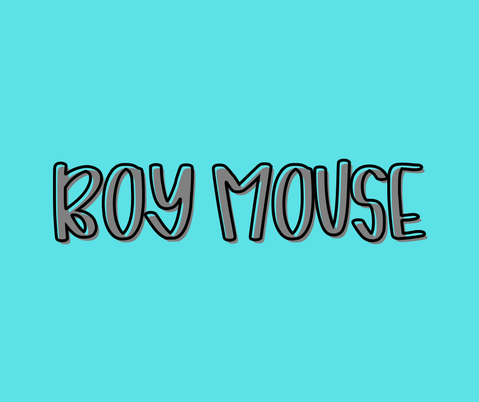 BOY MOUSE | COZY DREAMS | KIDS DAY WEAR