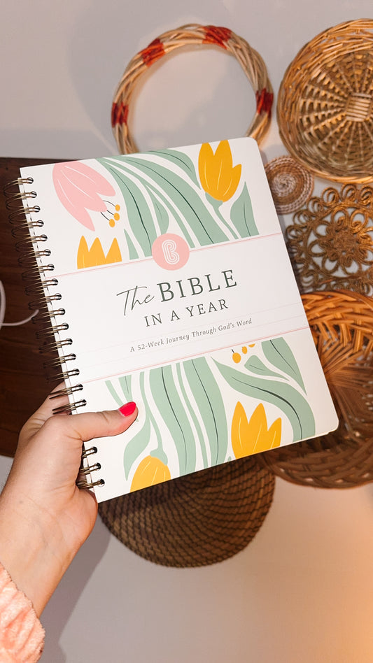 A Year in the Bible R2